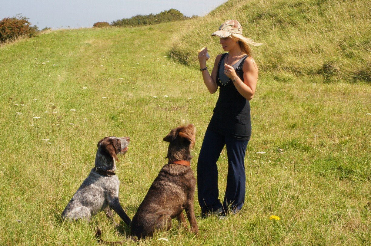 Ein guter Tipp zur Hundeerziehung lautet richtig mit dem Vierbeiner kommunizieren. Foto Loreke76 via Twenty20