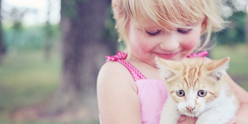 Haustiere für Kinder – Welches ist das richtige Kleintier?