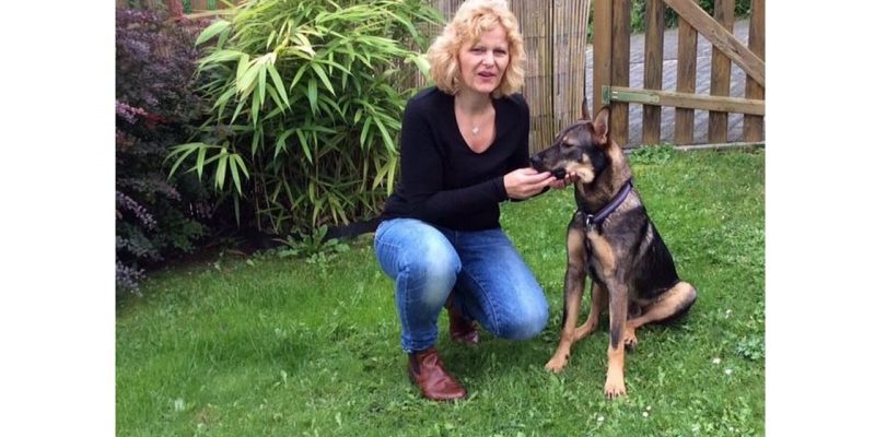 Hund aus Tierheim – Erfahrung von Patricia mit Cosmo