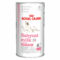 300 g | Royal Canin | Royal Canin – Ergänzungsfutter – Babycat Milk Aufzuchtmilch für Kitten 300g Babycat | Ergänzung | Katze